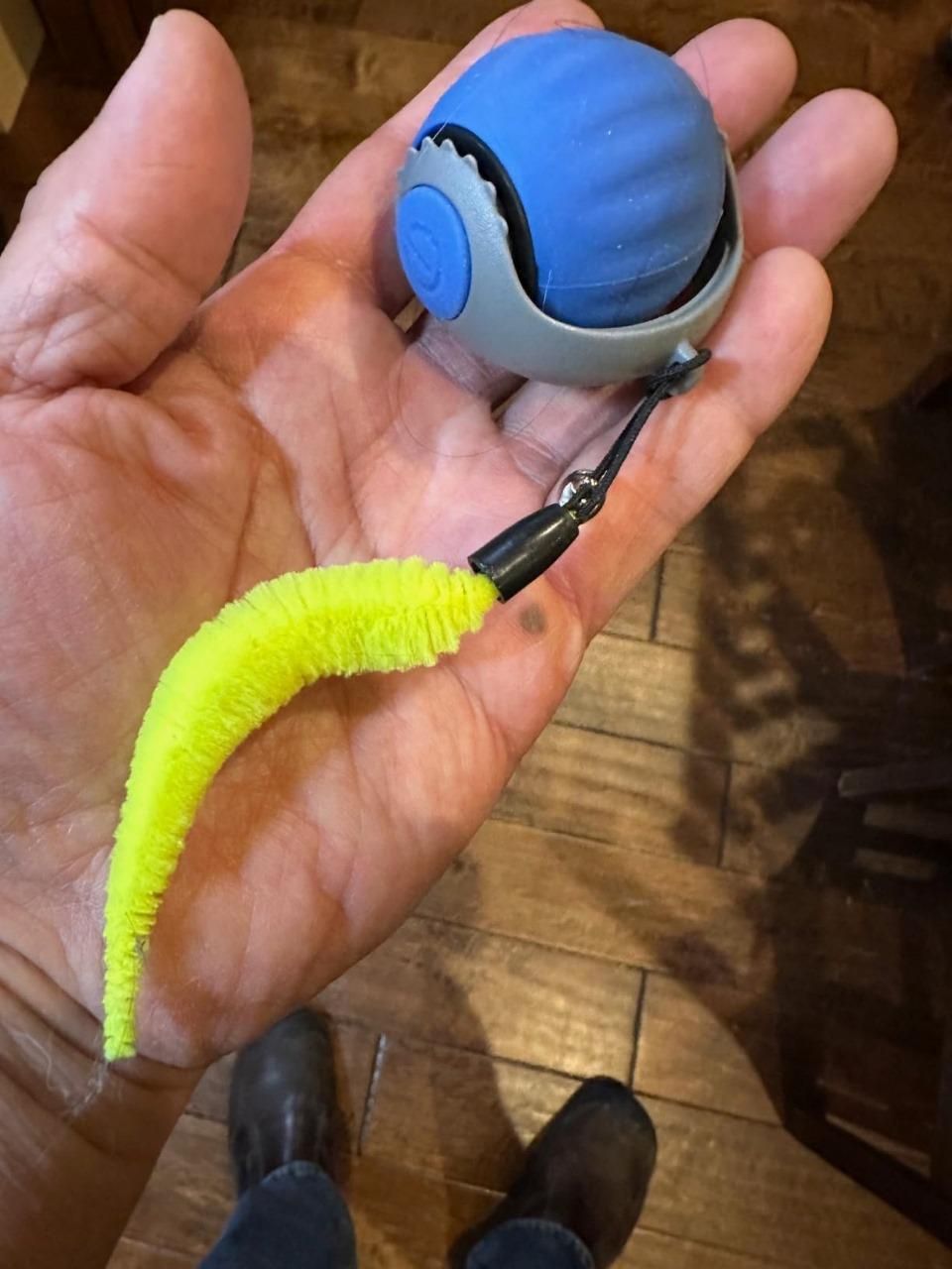 TailRush™ Pet Toy Ball