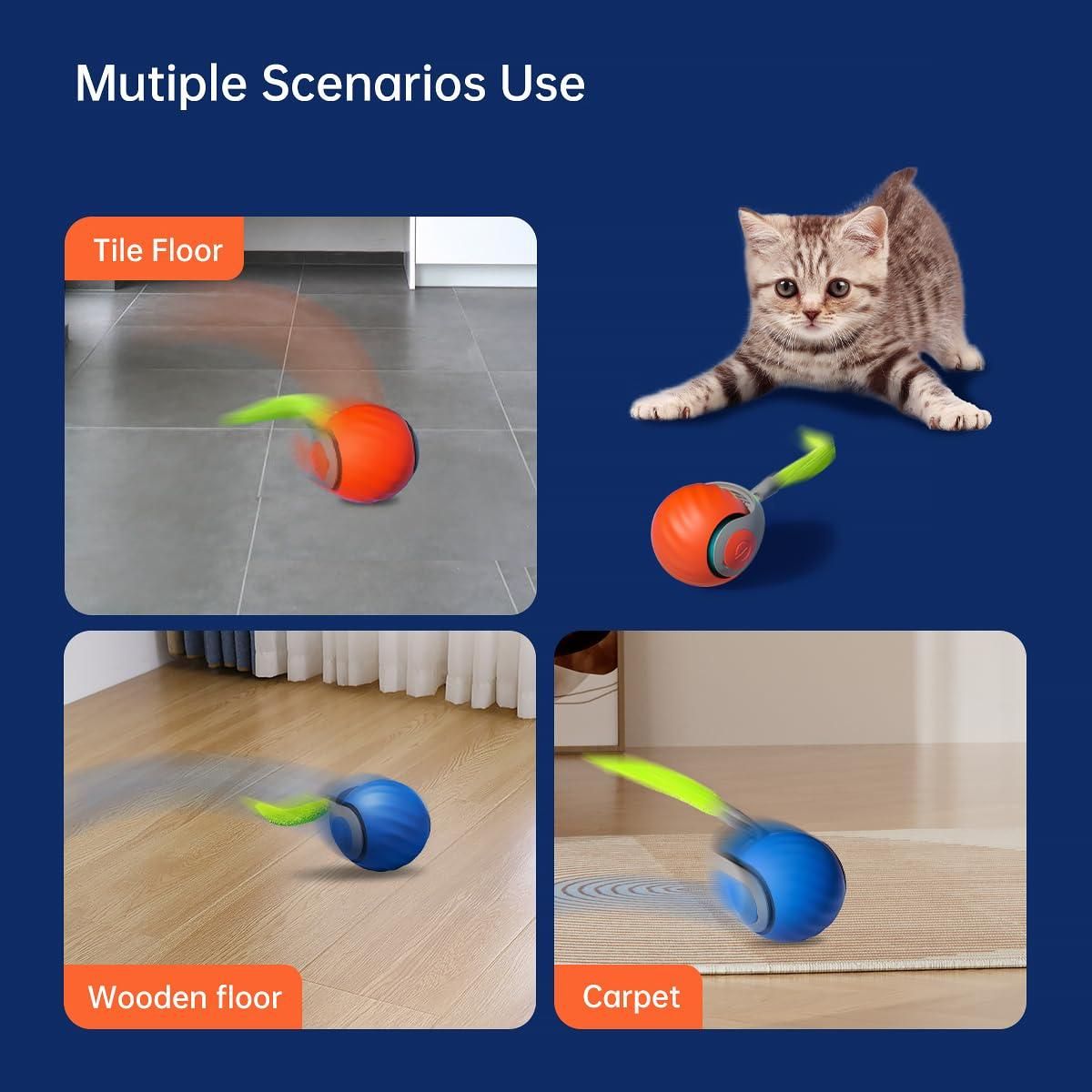 TailRush™ Pet Toy Ball