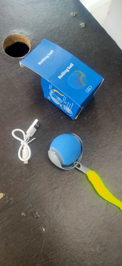 TailRush™ Pet Toy Ball