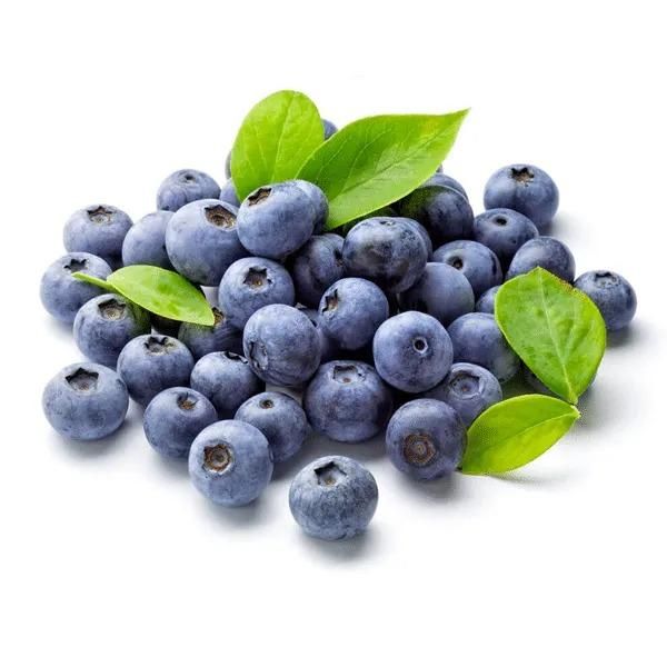 American Giant Blueberry Seeds 20gm