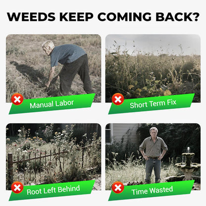 Cyclosinone Herbicide Granules ( 🔥BUY 1 GET 1 FREE🔥 )